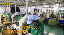 外國人也愛艾草？南陽艾制品前4個月出口497.4噸