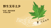 艾草越嫩越好，還是越久越好？悄悄告訴你：艾草這樣用，效果最好！
