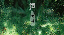 【二十四節(jié)氣灸】芒種節(jié)氣，培土補脾、養(yǎng)陰生津！艾灸這些穴位事半功倍！