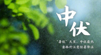 【三伏養(yǎng)生】至熱中伏，吃三樣，喝三樣，三大禁忌千萬別犯，小心落下病根！