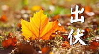 【三伏養(yǎng)生】出伏后做好養(yǎng)生很關(guān)鍵！一行要注意！
