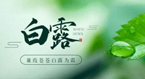 【二十四節(jié)氣灸】白露涼爽，養(yǎng)心肝脾胃、滋陰潤肺是關(guān)鍵！