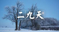 【三九養(yǎng)生】冬二九，扶陽(yáng)補(bǔ)腎氣，讓你陽(yáng)氣充足一整年！