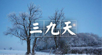 【三九養(yǎng)生】冬三九，三九第三灸，一年中最后艾灸黃金9天！
