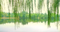 【養(yǎng)生知識】已入五九，六九將至，五九的養(yǎng)生秘訣，你知道嗎？
