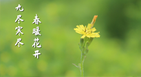 【九九養(yǎng)生】三月四日“九九日”，寒冬已過。春天養(yǎng)好身，全年不怕??！