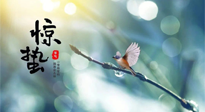 【二十四節(jié)氣灸】驚蟄節(jié)氣，艾灸喚醒抵抗力、補(bǔ)充陽氣的最好時機(jī)！
