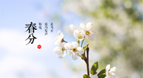 【二十四節(jié)氣灸】春分，平分了大地晝夜；艾灸，平衡了身體陰陽！