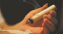 【艾灸知識】春暖花開，衣衫漸薄，再不減肥，身上的肉肉可藏不住了！