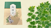 【行業(yè)資訊】國內(nèi)首部艾草專著《南陽艾》，在南陽新書首發(fā)！