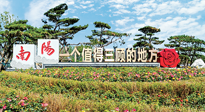 【行業(yè)資訊】南陽一個值得三顧的地方！“丹江水”“仙草艾”成為 “南陽禮物”新爆款！