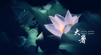 【二十四節(jié)氣灸】趁大暑好好艾灸，才不辜負(fù)三伏天的驕陽！