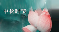 【艾灸三伏天】中伏：三伏灸的關(guān)鍵轉(zhuǎn)折點(diǎn)！“灸”除病根的大好時(shí)機(jī)！
