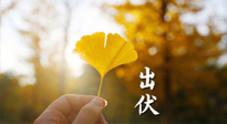 【艾灸三伏天】出伏啦！三防三宜兩穴位，防止身體“秋后算賬”！