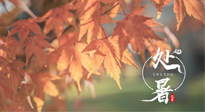 【二十四節(jié)氣灸】處暑，冬病夏治倒計時！秋涼真的要來了！