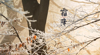 【二十四節(jié)氣灸】霜降節(jié)氣：艾灸四穴，護您冬天安然無恙！