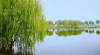 【艾灸知識(shí)】春三月，必艾灸穴位：疏肝理氣，養(yǎng)血調(diào)神！
