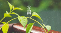 【二十四節(jié)氣灸】谷雨節(jié)氣脾土濕，艾灸降濕濁，脾旺不受邪！
