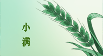 【二十四節(jié)氣灸】小滿節(jié)氣記得艾灸，悠悠長夏，健康度過！