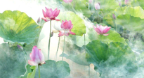 【養(yǎng)生知識(shí)】花開(kāi)半夏，夏至養(yǎng)生，這些知識(shí)一定要牢記！