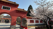 【行業(yè)資訊】新華財(cái)經(jīng)：守正創(chuàng)新，中醫(yī)藥品牌化發(fā)展“更上一層樓”！