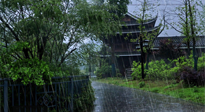 【艾灸知識】多雨的日子里，艾灸會不會加重濕氣呢？