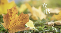 【節(jié)氣養(yǎng)生】甲辰立秋，“2做”、“2不做”，護好我們身體的正氣，預防外邪的侵襲！