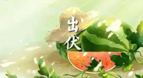 【艾灸三伏天】出伏后記得堅(jiān)持艾灸，伏后固本，做好至關(guān)重要的最后一步！