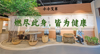 【艾草知識(shí)】小小艾草，渾身是寶，一生燃盡此身，皆為健康！