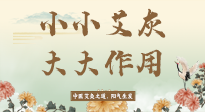 【艾草知識】艾灰真是個巨好用的東西，?它的神奇功效，你知道多少？